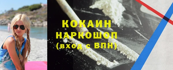прущие грибы Кинешма
