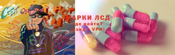 прущие грибы Кинешма