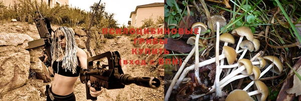 прущий лед Карпинск