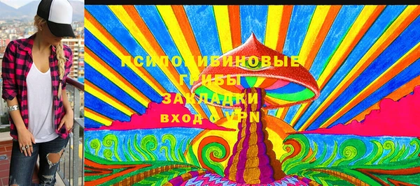 mdpv Киреевск