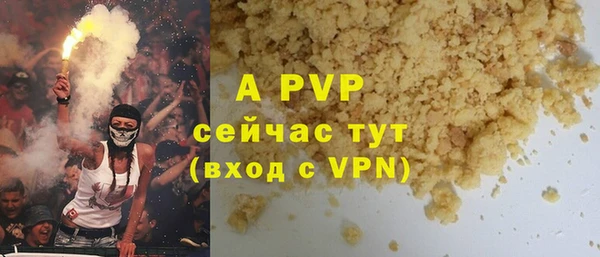 прущие грибы Кинешма