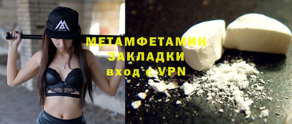 прущие грибы Кинешма