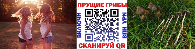 Псилоцибиновые грибы мухоморы  Купить  Иннополис 